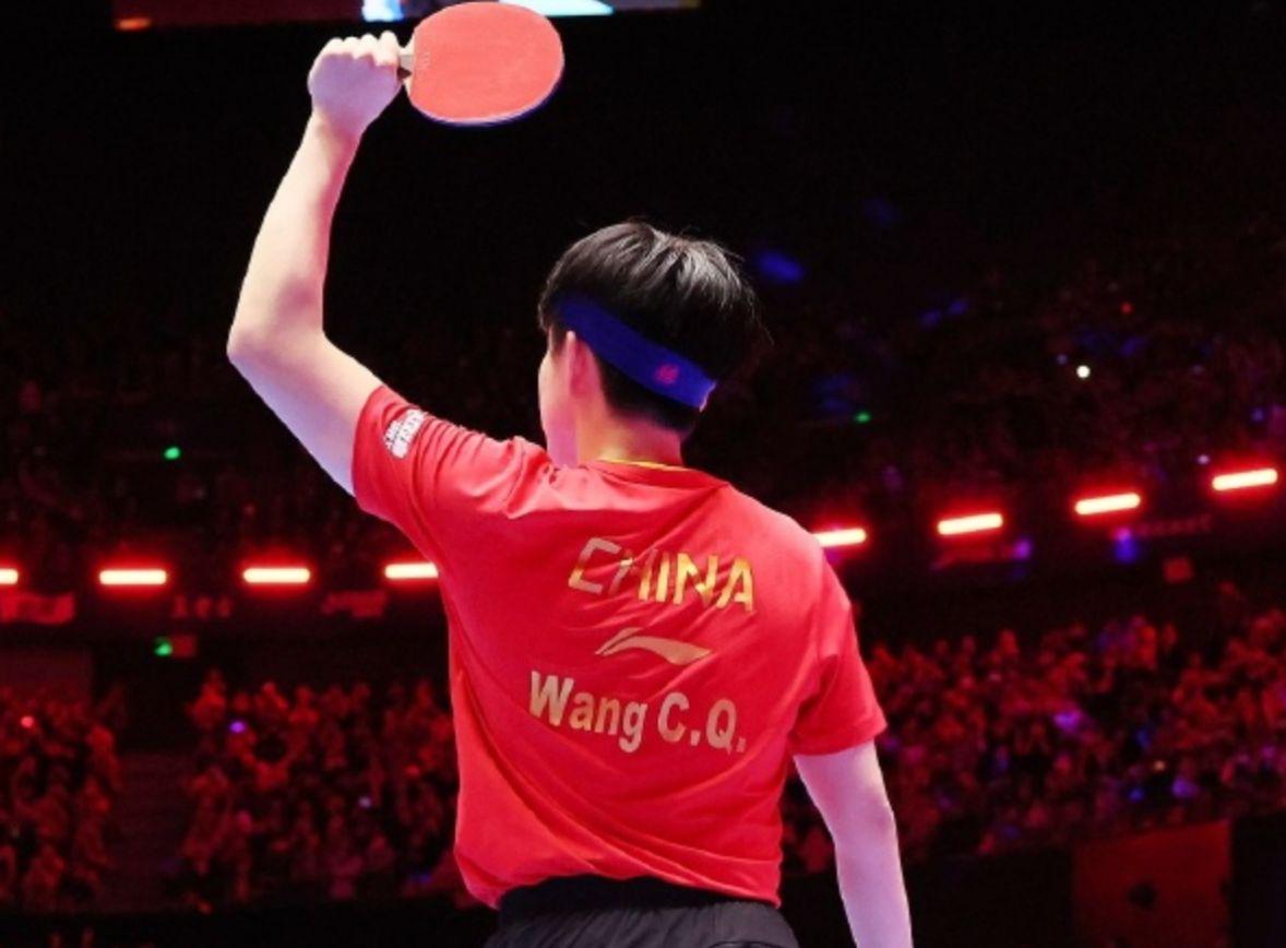 此猜测王楚, 网上就有人